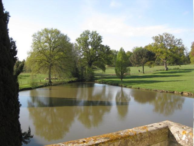 Chateau De Montriou Feneu Quarto foto